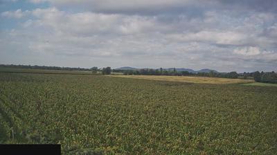 immagine della webcam nei dintorni di Monte Isola: webcam Paderno Franciacorta
