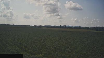 immagine della webcam nei dintorni di Predore: webcam Paderno Franciacorta