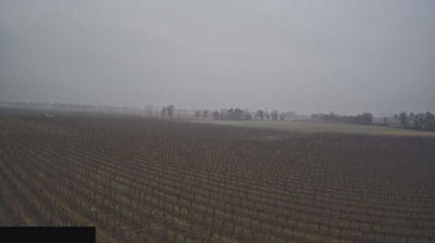 immagine della webcam nei dintorni di Brescia: webcam Paderno Franciacorta