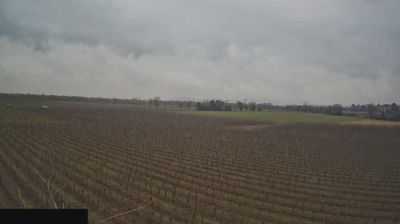 immagine della webcam nei dintorni di Madignano: webcam Paderno Franciacorta