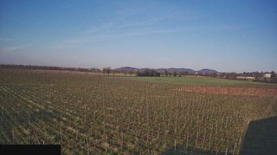 immagine della webcam nei dintorni di Madignano: webcam Paderno Franciacorta