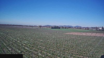 immagine della webcam nei dintorni di Tavernola Bergamasca: webcam Paderno Franciacorta