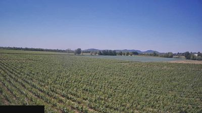 immagine della webcam nei dintorni di Tavernola Bergamasca: webcam Paderno Franciacorta