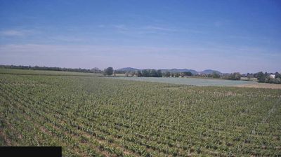 immagine della webcam nei dintorni di Predore: webcam Paderno Franciacorta
