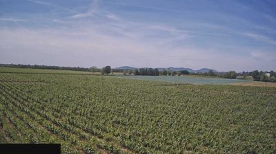 immagine della webcam nei dintorni di Iseo: webcam Paderno Franciacorta