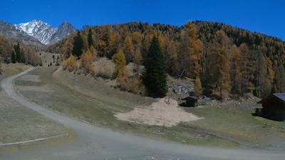 immagine della webcam nei dintorni di Ponte di Legno: webcam Peio
