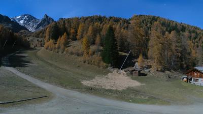 immagine della webcam nei dintorni di Campo Carlo Magno: webcam Peio