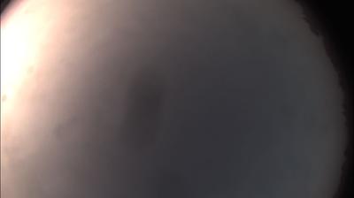 immagine della webcam nei dintorni di Castellazzo Bormida: webcam Felizzano