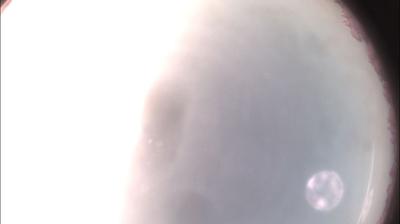 immagine della webcam nei dintorni di Cavatore: webcam Felizzano