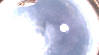 immagine della webcam nei dintorni di Predosa: webcam Felizzano