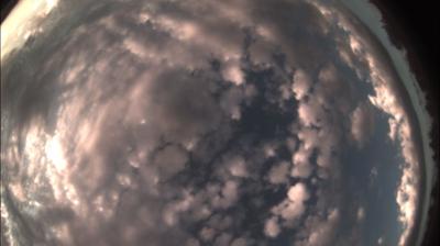 immagine della webcam nei dintorni di Pecetto di Valenza: webcam Felizzano