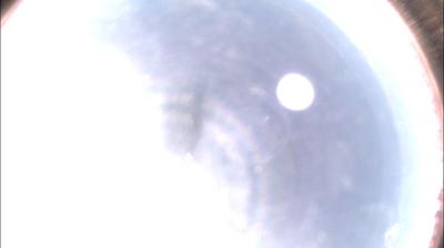 immagine della webcam nei dintorni di Cavatore: webcam Felizzano