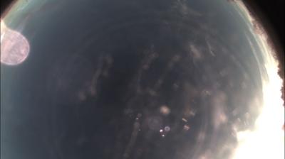 immagine della webcam nei dintorni di Terruggia: webcam Felizzano