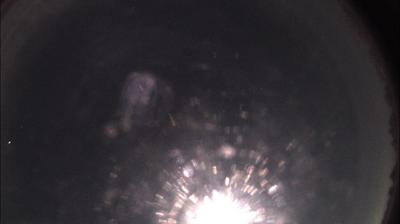 immagine della webcam nei dintorni di Valenza: webcam Felizzano