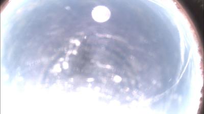 immagine della webcam nei dintorni di Cavatore: webcam Felizzano