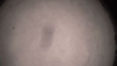 immagine della webcam nei dintorni di Asti: webcam Felizzano