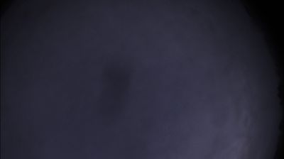 immagine della webcam nei dintorni di Terruggia: webcam Felizzano