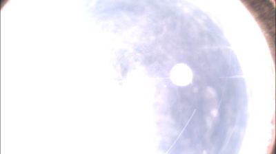 immagine della webcam nei dintorni di Casale Monferrato: webcam Felizzano