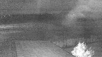 immagine della webcam nei dintorni di Bagnolo in Piano: webcam Suzzara