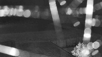 immagine della webcam nei dintorni di Pegognaga: webcam Suzzara