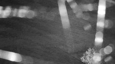 immagine della webcam nei dintorni di Carpi: webcam Suzzara