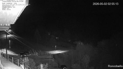 immagine della webcam nei dintorni di Spiazzi: webcam Roncobello