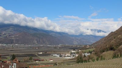 immagine della webcam nei dintorni di Caldaro sulla Strada del Vino: webcam Terlano