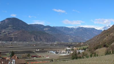 immagine della webcam nei dintorni di San Genesio Atesino: webcam Terlano