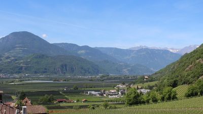 immagine della webcam nei dintorni di Bolzano: webcam Terlano