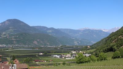 immagine della webcam nei dintorni di Bolzano: webcam Terlano