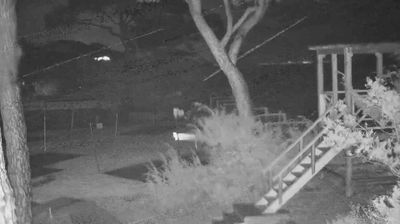 immagine della webcam nei dintorni di Punta Ala: webcam Follonica