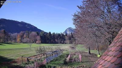 immagine della webcam nei dintorni di Arta Terme: webcam Ampezzo