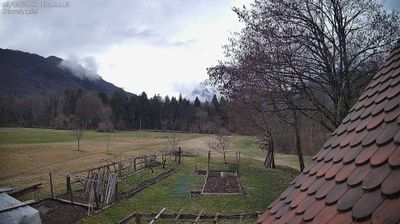 immagine della webcam nei dintorni di Bordano: webcam Ampezzo