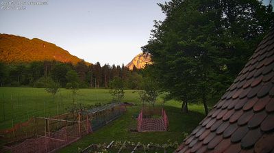 immagine della webcam nei dintorni di Enemonzo: webcam Ampezzo