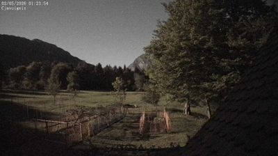 immagine della webcam nei dintorni di Monte Zoncolan: webcam Ampezzo