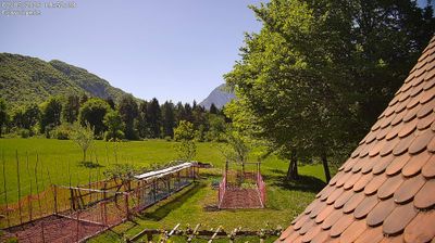 immagine della webcam nei dintorni di Monte Zoncolan: webcam Ampezzo