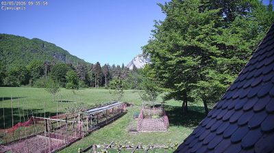 immagine della webcam nei dintorni di Enemonzo: webcam Ampezzo