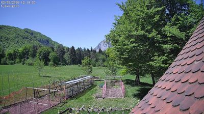 immagine della webcam nei dintorni di Sauris: webcam Ampezzo