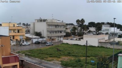 immagine della webcam nei dintorni di Santa Maria al Bagno: webcam Porto Cesareo