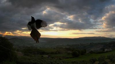 immagine della webcam nei dintorni di Limatola: webcam Apollosa