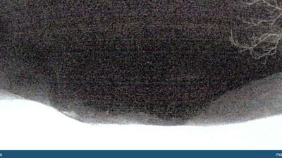 immagine della webcam nei dintorni di Monte Avena: webcam Seren del Grappa