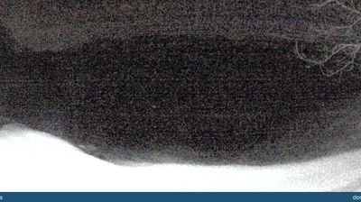 immagine della webcam nei dintorni di Vidor: webcam Seren del Grappa