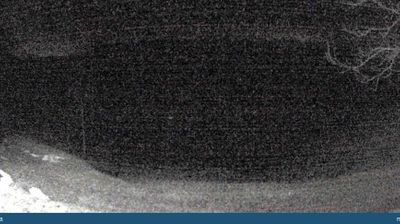 immagine della webcam nei dintorni di Foza: webcam Seren del Grappa