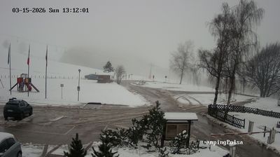 immagine della webcam nei dintorni di Polsa: webcam Avio