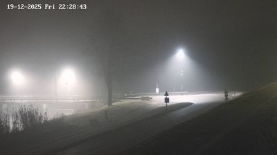 immagine della webcam nei dintorni di Porto Santa Margherita: webcam Fossalta di Piave