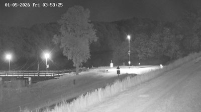 immagine della webcam nei dintorni di Portogruaro: webcam Fossalta di Piave