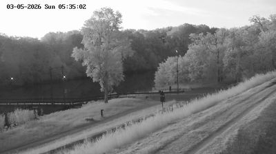 immagine della webcam nei dintorni di Porto Santa Margherita: webcam Fossalta di Piave