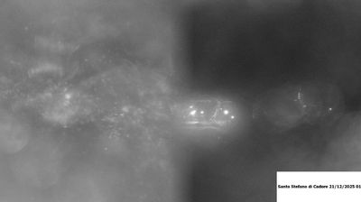 immagine della webcam nei dintorni di Lorenzago di Cadore: webcam Santo Stefano di Cadore