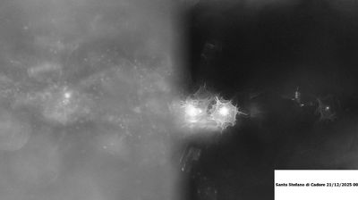 immagine della webcam nei dintorni di Sauris: webcam Santo Stefano di Cadore