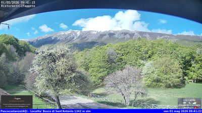 immagine della webcam nei dintorni di Pettorano sul Gizio: webcam Rocca Pia